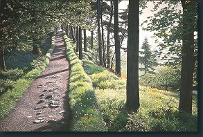 On the Way Home - By W. David Ward