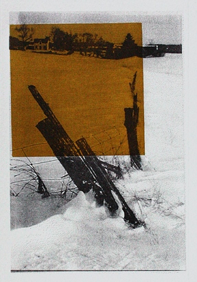 W.David Ward