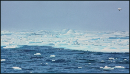 Sea Ice