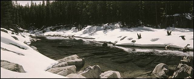 The First Warm Days