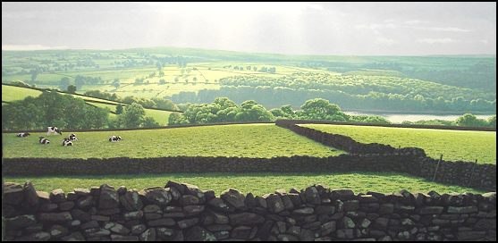 Shades of Green