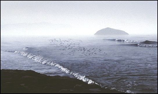Sea Air